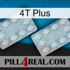 4T Plus 17